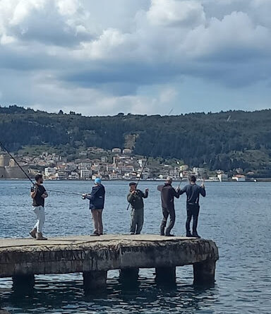 2026 baharında Çanakkale Boğazı’nda balık avı bereketi: Oltalar sardalya ile doluyor.